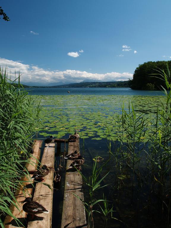 Seehotel Delphin Meisterschwanden Exteriör bild