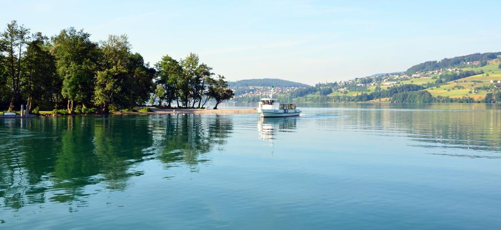 Seehotel Delphin Meisterschwanden Exteriör bild