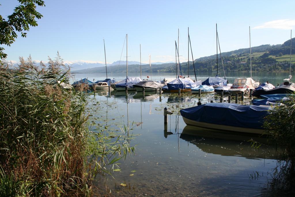 Seehotel Delphin Meisterschwanden Exteriör bild