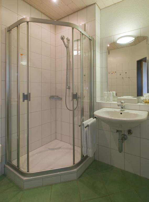 Seehotel Delphin Meisterschwanden Rum bild