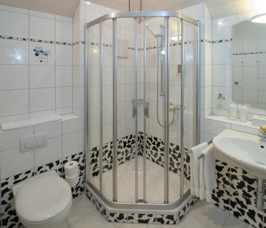 Seehotel Delphin Meisterschwanden Rum bild
