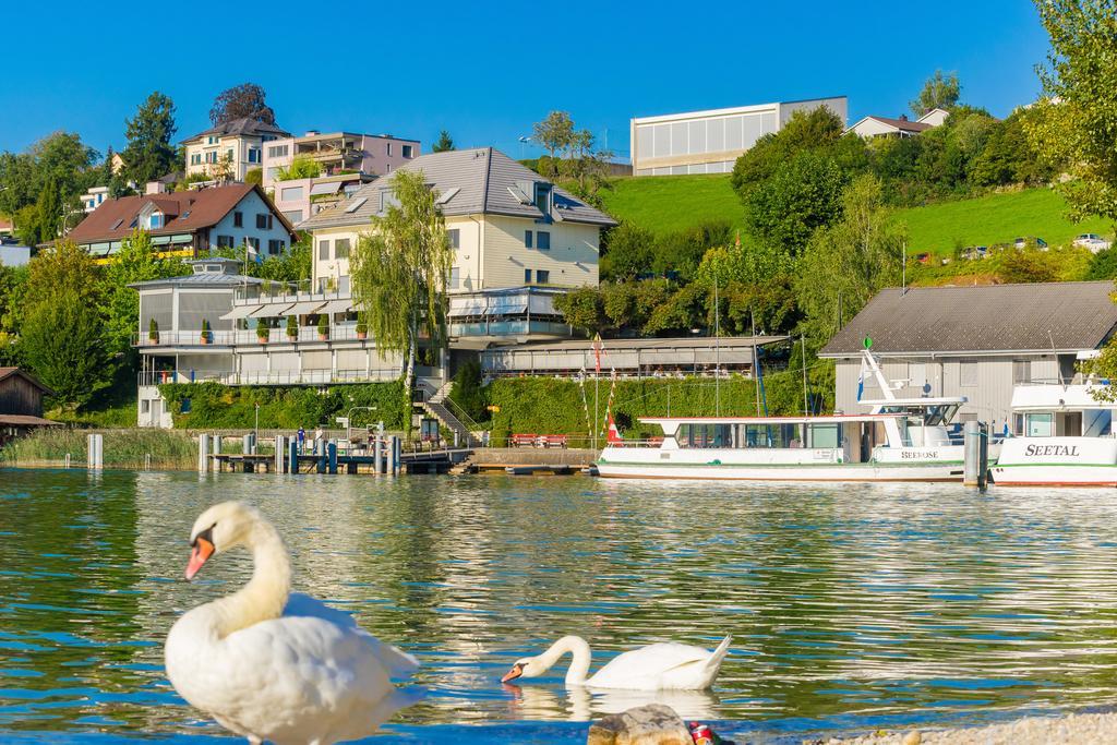 Seehotel Delphin Meisterschwanden Exteriör bild